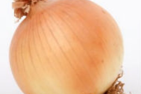 Kraken зеркало kraken 6 onion